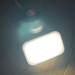 RITEX ムサシ LED-AC309 9Wワイド LEDセンサーライト コンセント式 5秒〜5分 常夜灯モードの画像