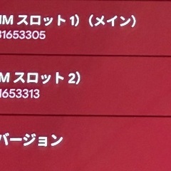 早いもの勝ち！Google Pixel 9 Pro XL[256GB]の画像