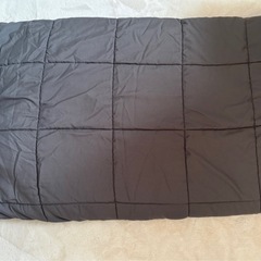 ニトリ重い毛布（受付終了しました）の画像