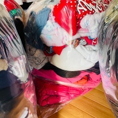 子供服各種の画像