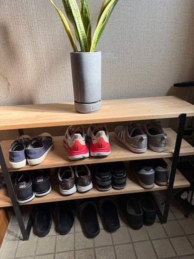 アイアンラック コレクション