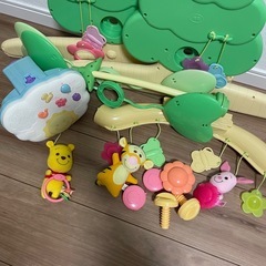 プーメリーの画像