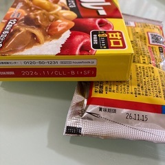 カレー2種類セットの画像