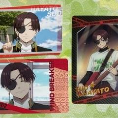 蘇芳隼飛 【13枚セット】の画像