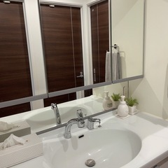 観葉植物3点の画像