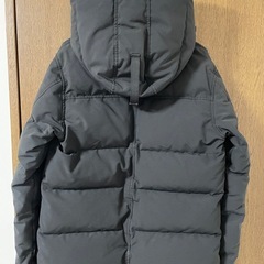 カナダグースマクミランの画像