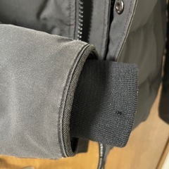 カナダグースマクミランの画像