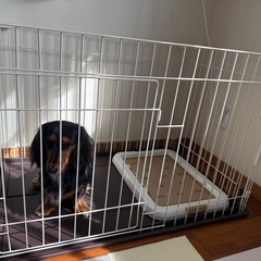ペットケージの画像