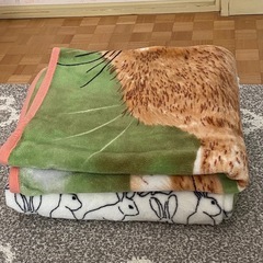 膝掛け２枚セット2️⃣の画像