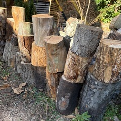 丸太　スウェーデントーチにの画像