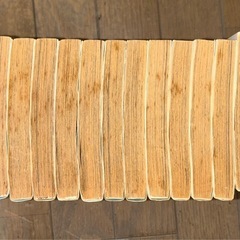 キャプテン翼　ワールドユース編18巻+特別編の画像