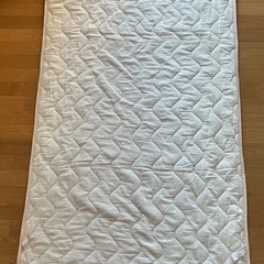 中古イオンの敷きパッドの画像
