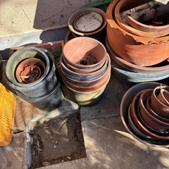 りんごの箱3コンテナ7植木鉢の画像