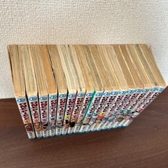 ONE PIECE（ドラム王国まで）の画像