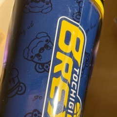 TOCHIGIBREXの画像