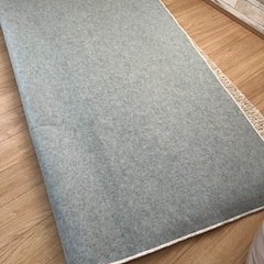 ニトリ、カーペットの画像