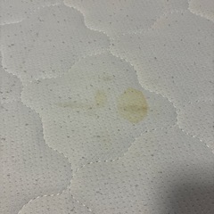 セミダブル　ローベッドの画像