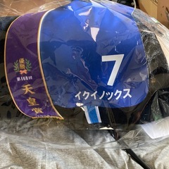 タイトーくじA賞　とっても大きなぬいぐるみイクイノックスの画像