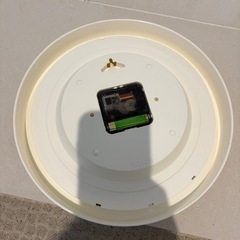 時計　モデル【学研】の画像