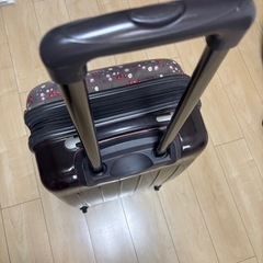 ムーミンのキャリーケースの画像