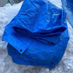 ブルーシート3メートル× 6メートルの画像