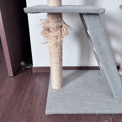 猫の爪とぎタワーの画像