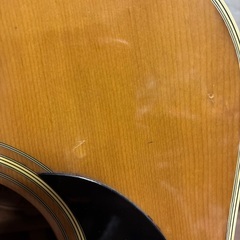 Morris アコースティックギターの画像