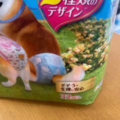 ユニチャーム　ペットマナーウェアの画像