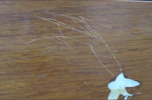 激安高級唐木＊螺鈿細工＊花鳥文＊小型スツール＊花台＊美品　紫檀　花梨