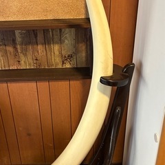 大型インテリアオブジェ 牙モチーフ 高さ約145cm 台座付き／樹脂・木製系 引き取り限定の画像