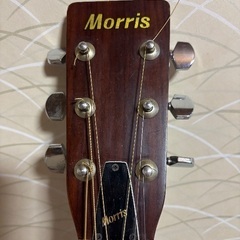 Morris アコースティックギターの画像