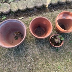 父が使っていた植木鉢(テラコッタ)の画像