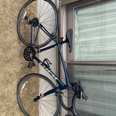 トレックロードバイク！の画像