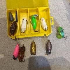 ライギョ引退セットの画像