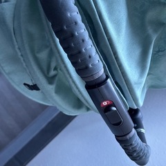 ピジョン　ランフィリノン  限定カラーの画像