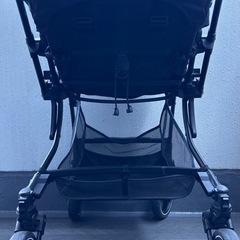 ピジョン　ランフィリノン  限定カラーの画像