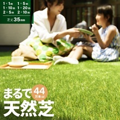 モダンデコ　人工芝  2m×1.4mの画像