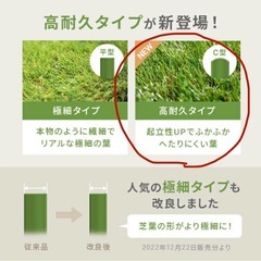 モダンデコ　人工芝  2m×1.4mの画像