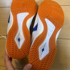 中学校 体育館シューズの画像