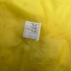 中学校 体育館シューズの画像