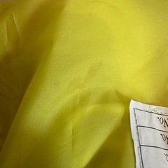 中学校 体育館シューズの画像