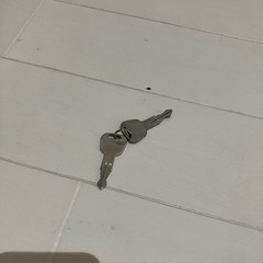 スキー、スノーボード、キャリアの画像