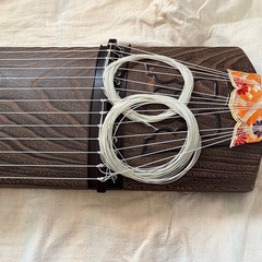 13弦　琴の画像