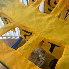 ワンタッチ　ボールプール　ハウス＆ボール　折り畳みの画像