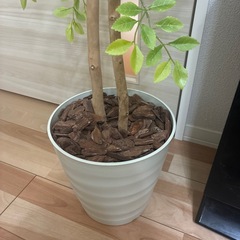 フェイクグリーン 造花 観葉植物の画像