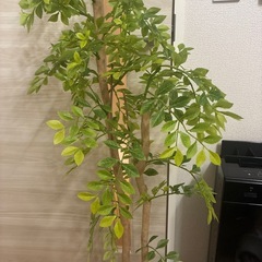 フェイクグリーン 造花 観葉植物の画像