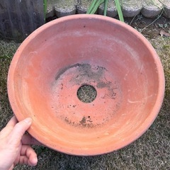 大きめの植木鉢の画像