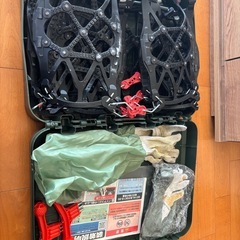 バイアスロン Quick EASY Q10の画像