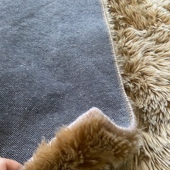 フランフランで購入したシャギーラグの画像