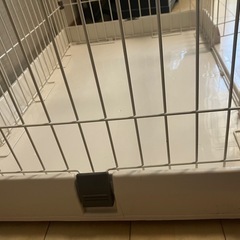 小型犬　ペット　ゲージ　サークル　の画像